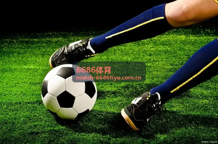 6686体育球队资料整理封面